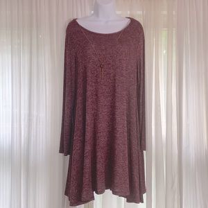 NWT Discreet long sleeved swing dress